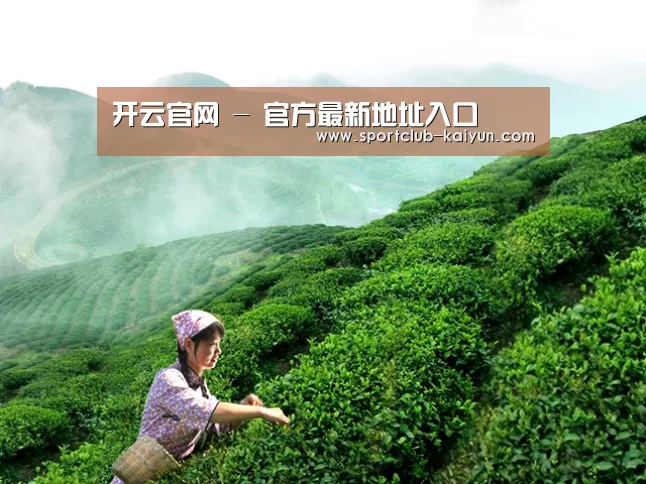 开云官网 - 官方最新地址入口