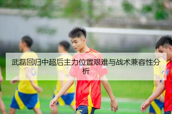 wu-lei-hui-gui-zhong-chao-hou-zhu-li-wei-zhi-jian-nan-yu-zhan-shu-jian-rong-xing-fen-xi-3-217.jpg
