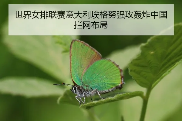 shi-jie-nv-pai-lian-sai-yi-da-li-ai-ge-nu-qiang-gong-hong-zha-zhong-guo-lan-wang-bu-ju-3-547.jpg