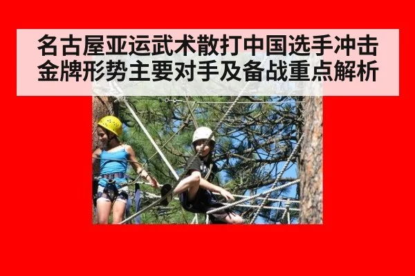 名古屋亚运武术散打中国选手冲击金牌形势主要对手及备战重点解析