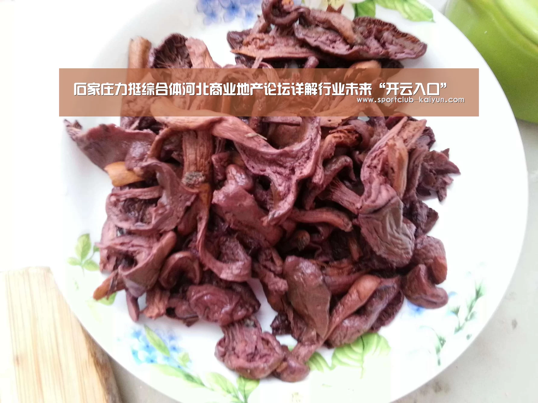 石家庄力挺综合体河北商业地产论坛详解行业未来“开云入口”(图3) 开云登录